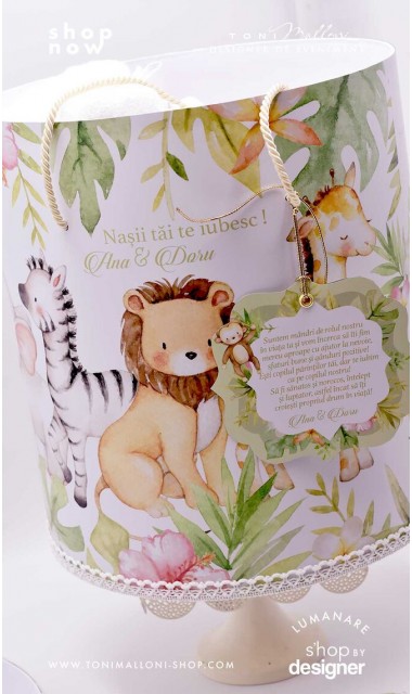 Trusou botez cu leuti elefanti zebre maimutele inspirat din cartea junglei Jungle Friends 6